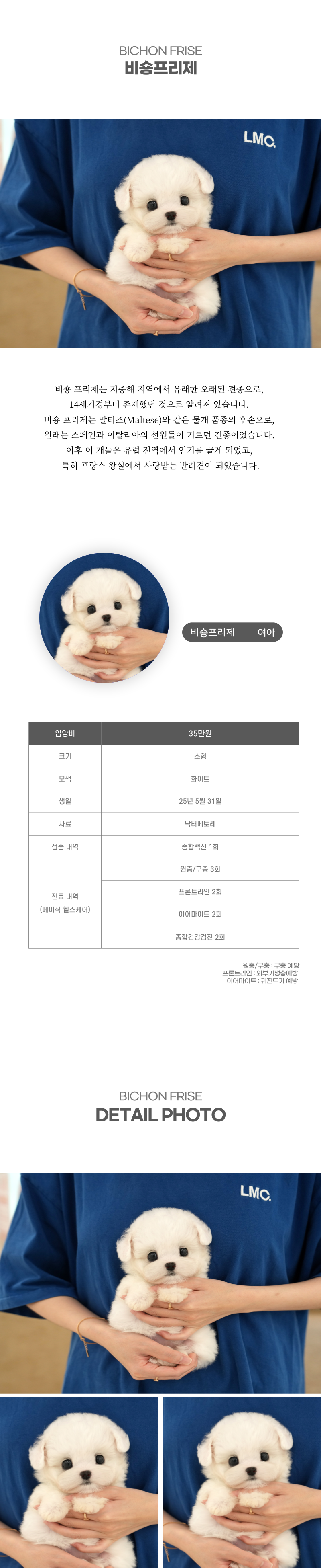 미니비숑_상세이미지_2